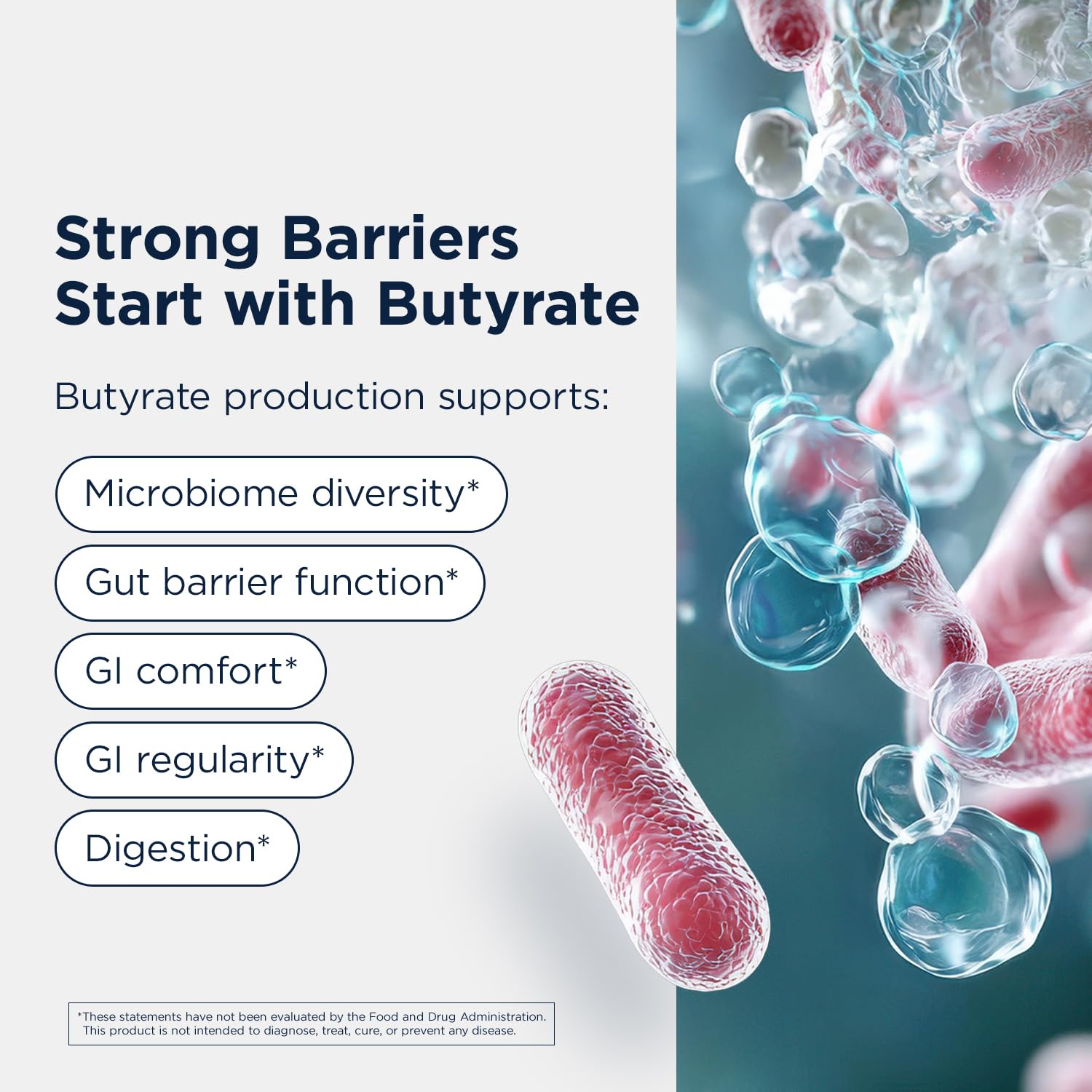 Designs for Health Anaerostipes Probiotic - 1 Billion AFU of Butyrate-Producing Probiotics for Gut Health Support, Microbiome Balance, and Immune Support - Live Probiotics, Gluten Free (30 Capsules)​ - Image 4