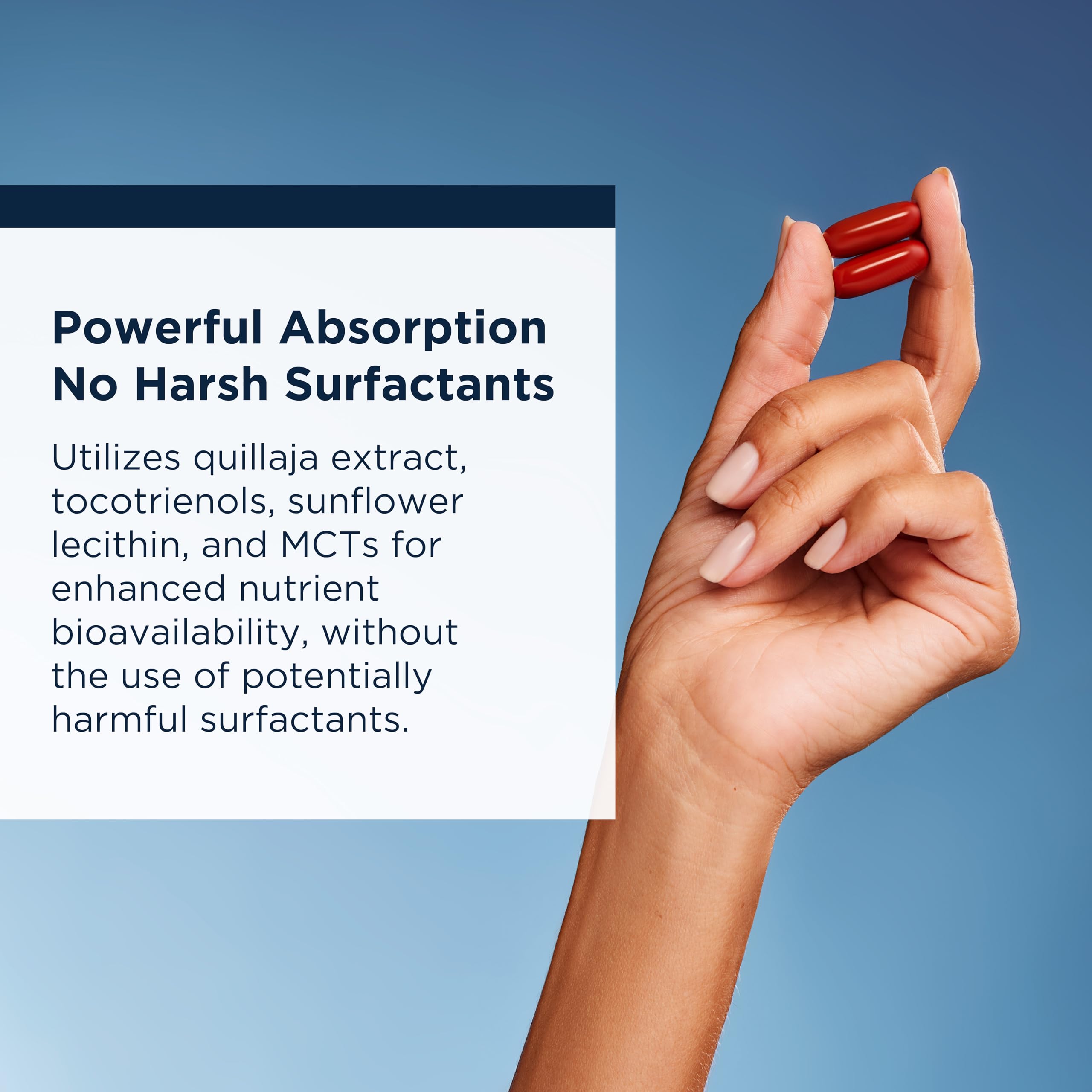 Designs for Health Berberine Evail - Enhanced Absorption Berberine Supplement for Metabolism & Healthy Lifestyle Support - Non-GMO (60 Servings) - Image 3