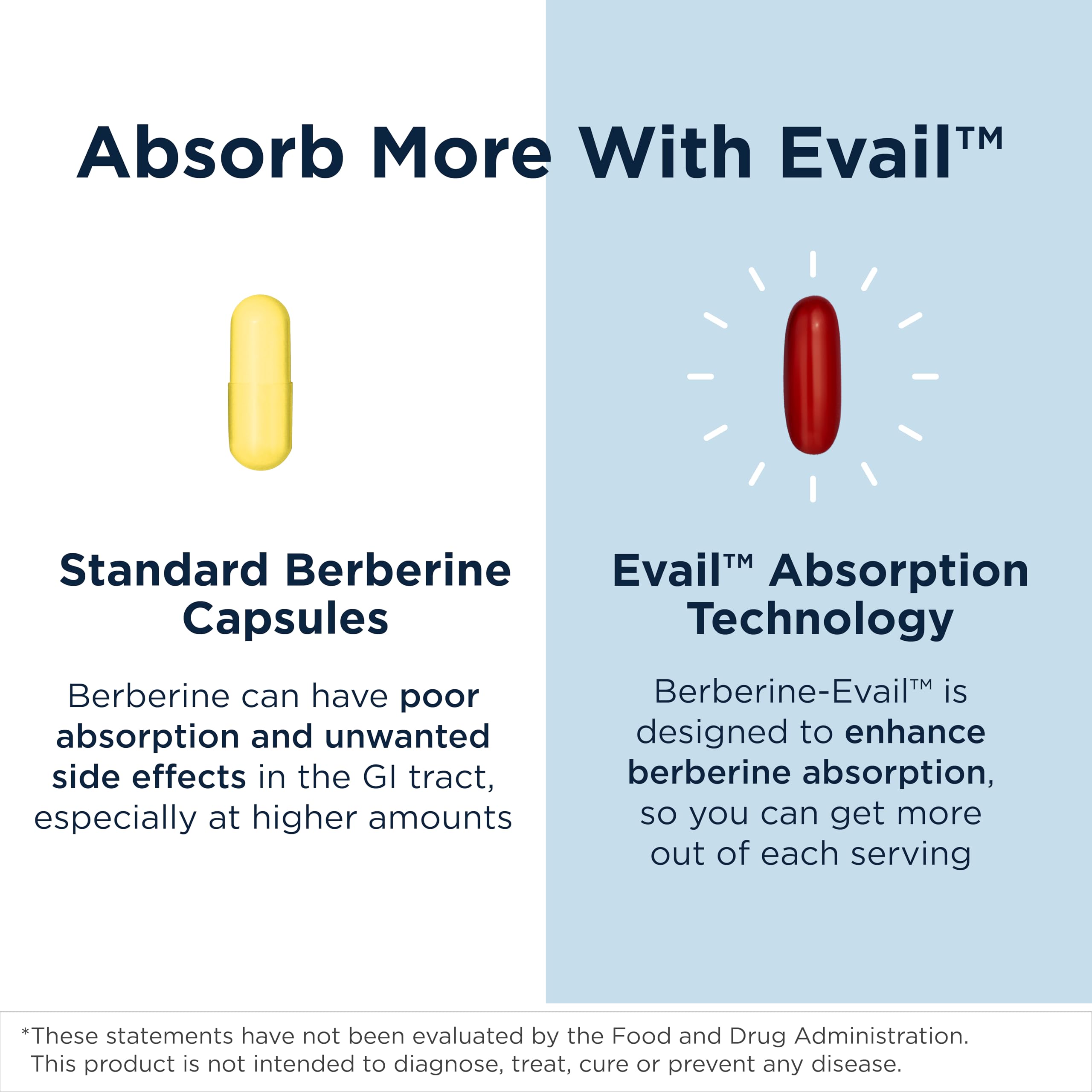 Designs for Health Berberine Evail - Enhanced Absorption Berberine Supplement for Metabolism & Healthy Lifestyle Support - Non-GMO (60 Servings) - Image 4