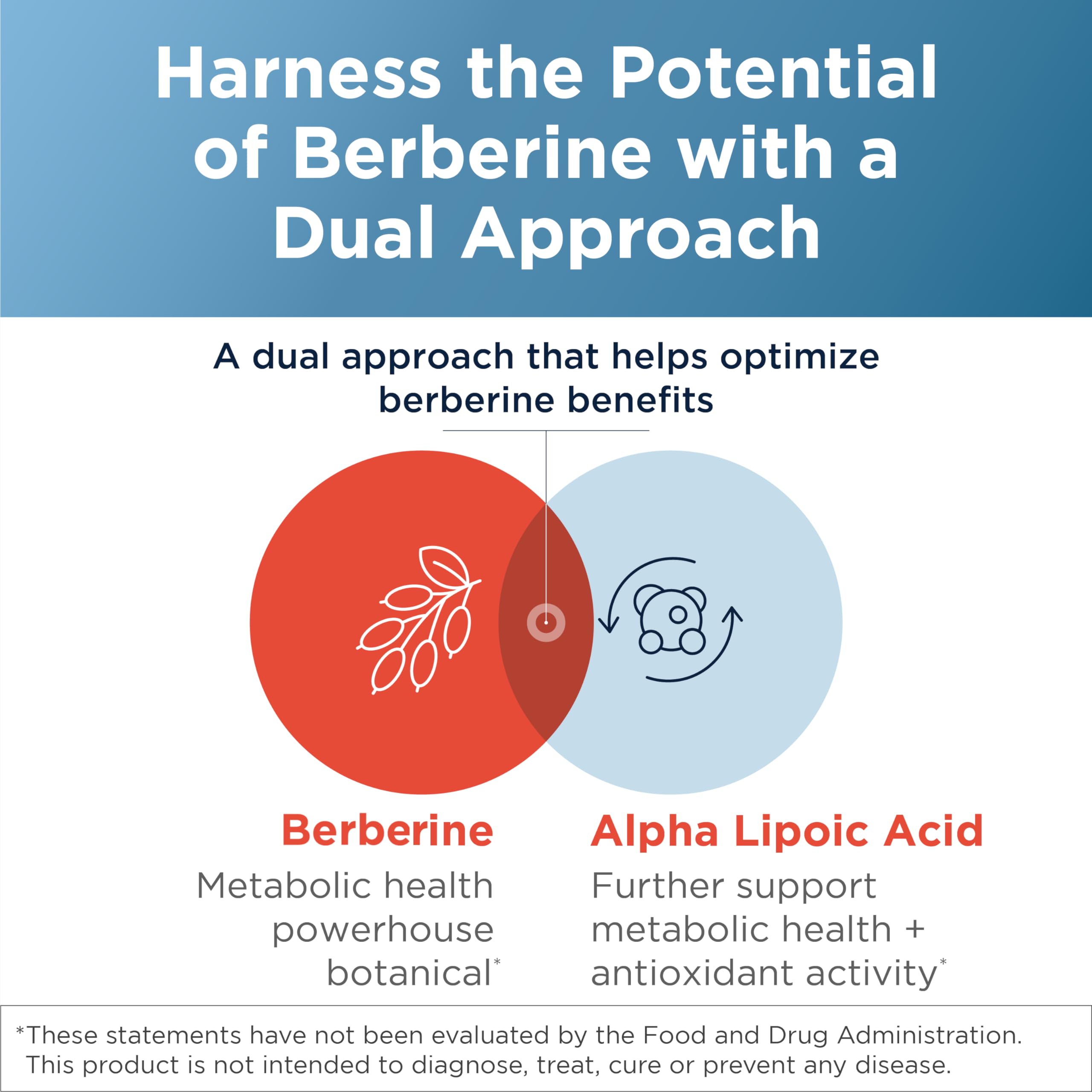 Designs for Health Berberine Synergy - Berberine HCL 400mg + Alpha Lipoic Acid (ALA) for Metabolism, Heart Health + Liver Support - Vegan, Non-GMO Berberine Supplement (60 Capsules) - Image 3