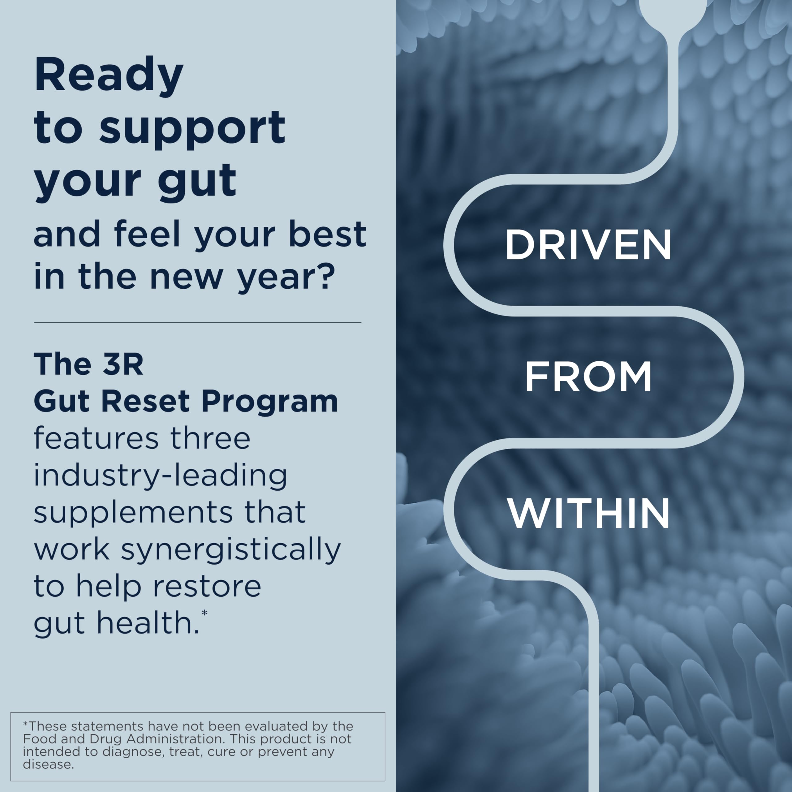 Designs for Health ProbioMed 50 - Probiotics for Digestive Health - 10 Strains with Lactobacillus acidophilus Probiotic + Lactobacillus rhamnosus - Gut Health + Immune Support Supplement (30 Caps) - Image 3