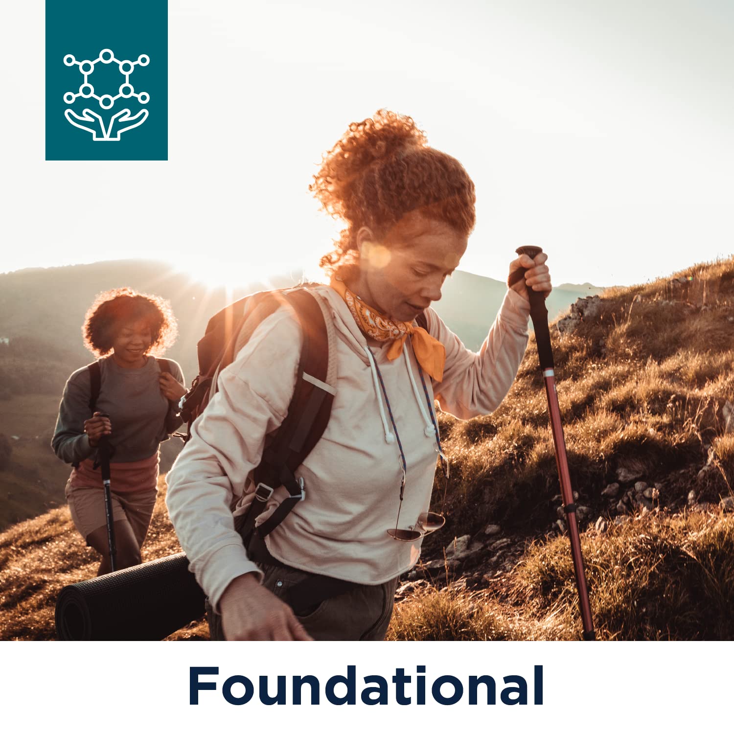 Designs for Health Multivitamin + Vitamin D/K Supplement Bundle - Twice Daily Multi (60 Capsules) with Vitamin D Supreme (60 Capsules) 5000 IU Vitamin D3 - Image 4