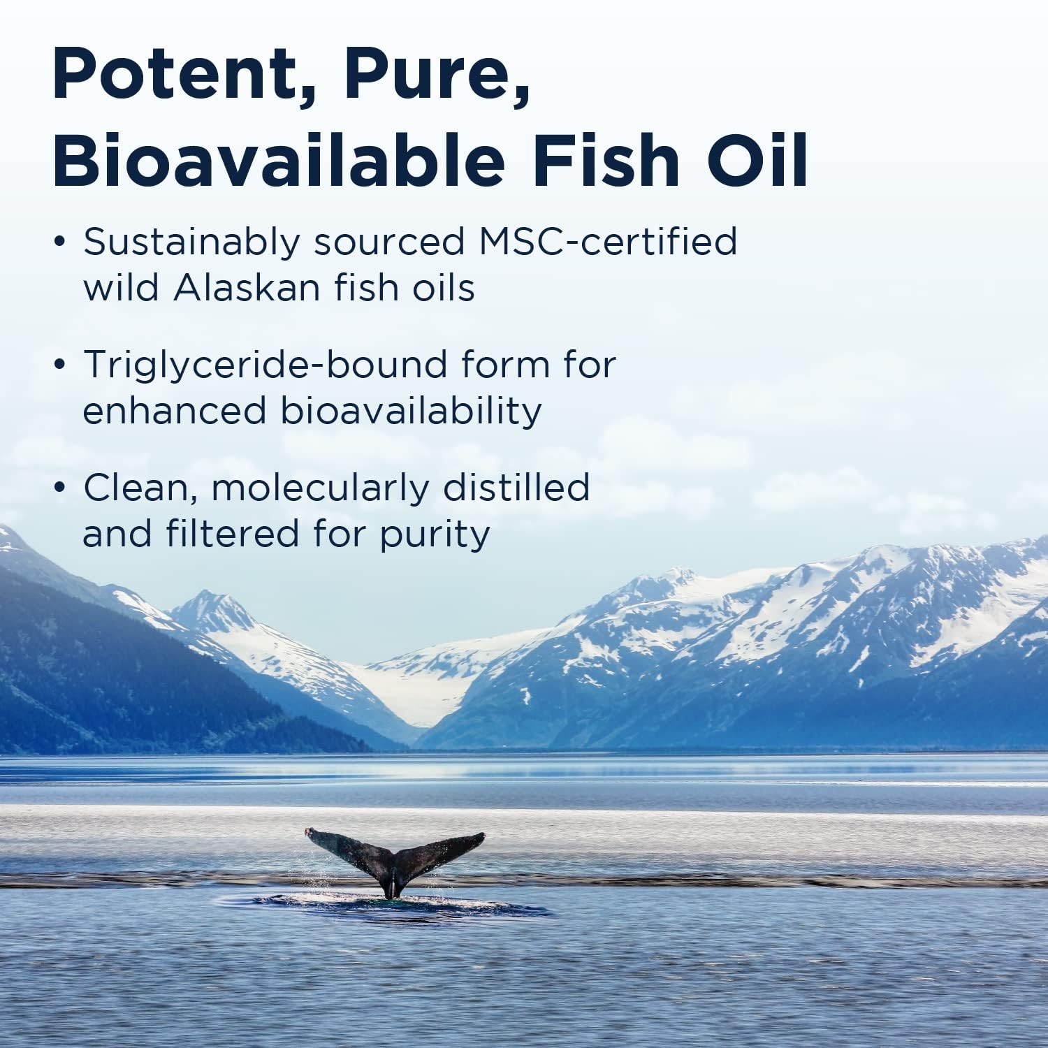 Designs for Health OmegAvail Hi-Po Liquid - High Concentration 1500mg EPA 1500 DHA - Triglyceride Omega 3 Fish Oil Heart Health & Brain Supplements - Natural Lemon Flavor (8oz) - Image 3