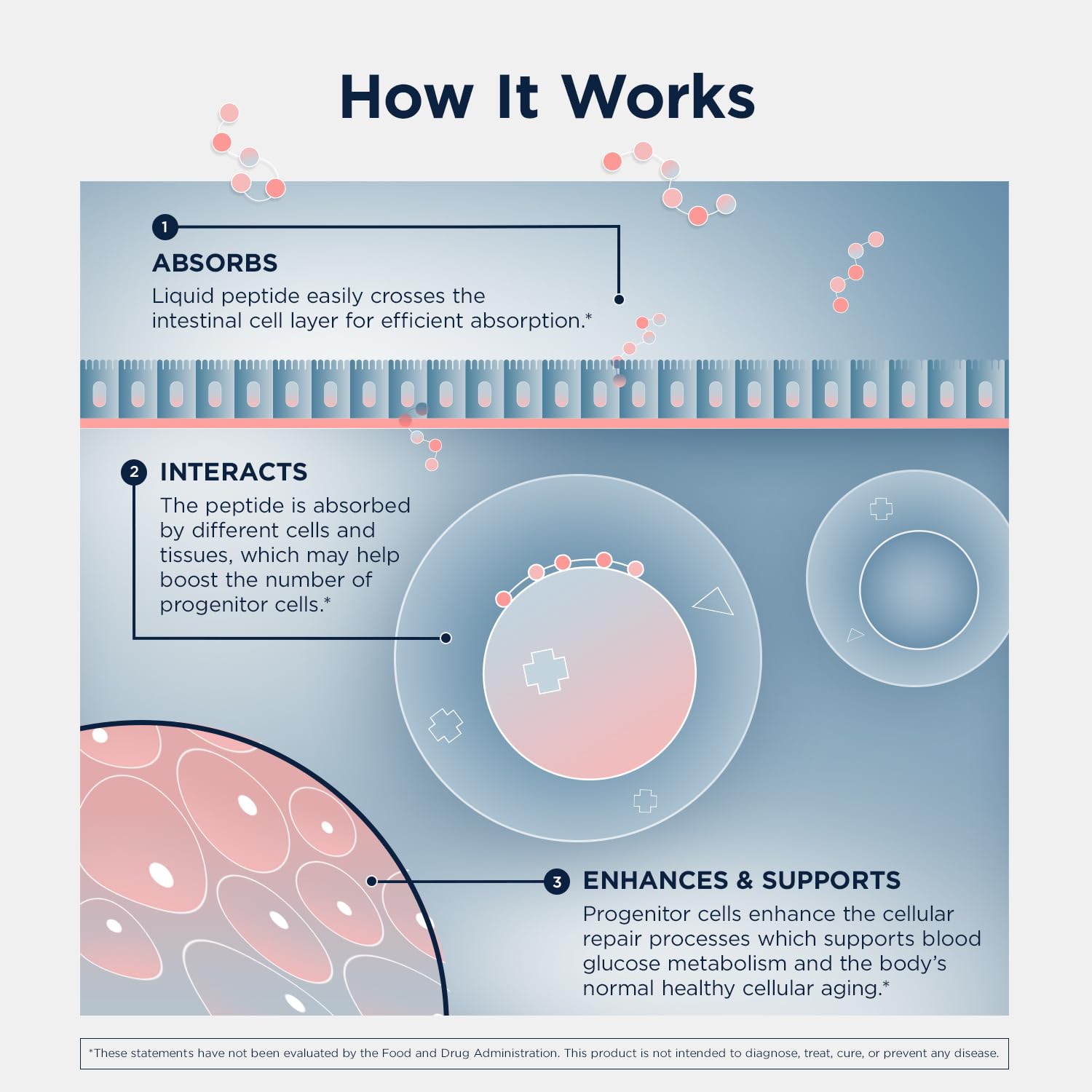 Designs for Health Progenalen Pro Peptide Supplement- Triple-Action Formula Supporting Cellular Aging and Metabolism - Gluten Free (30 Capsules) - Image 4