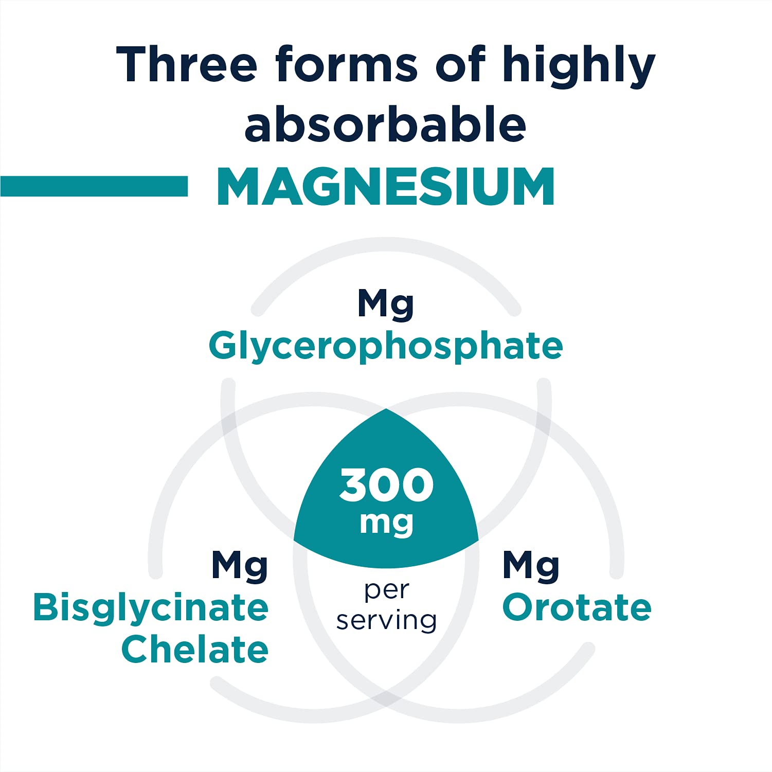 Designs for Health TriMag Supreme Powder - 300mg Triple Magnesium Drink - May Support Heart Health & Energy - Magnesium Orotate, Glycerophosphate + Bisglycinate Chelate (30 Servings / 150g) - Image 3