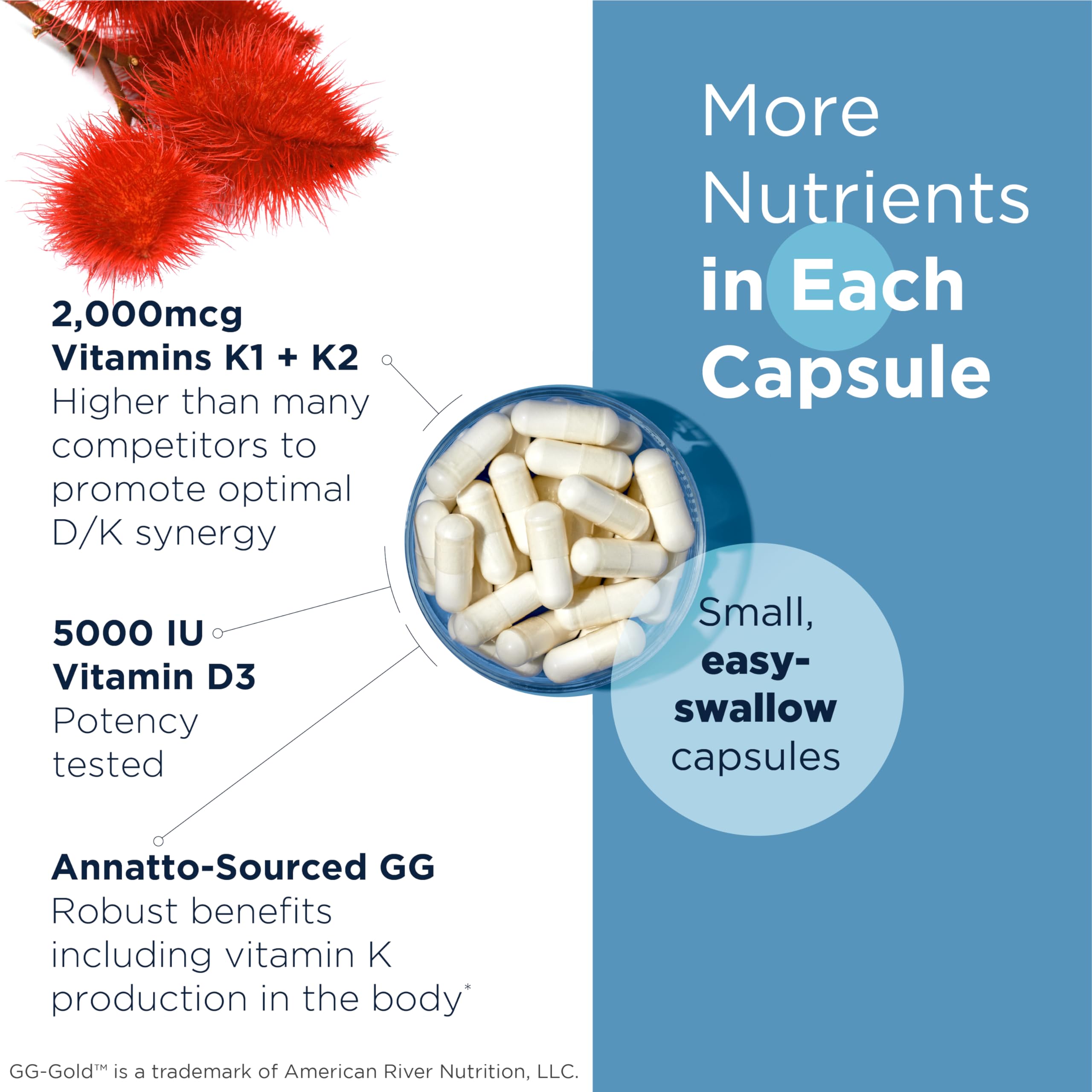 Designs for Health Hydroxyapatite Periobiotic Silver Toothpaste + Vitamin D Supreme Bundle - Fluoride Free with Oral Probiotics for Gum Health + D3 5000 IU w/Vitamin K for Bone, Heart, Immune Support - Image 3