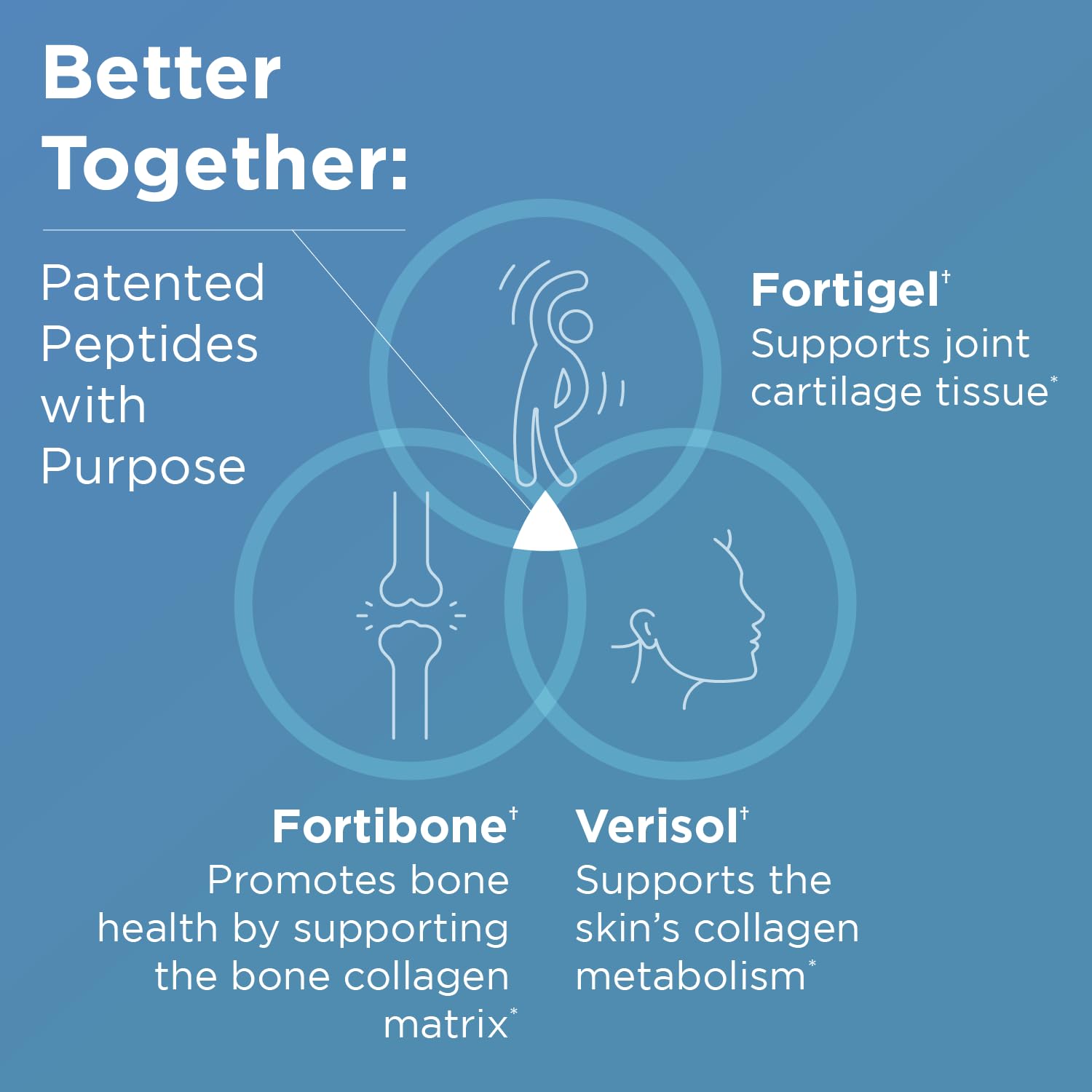 Designs for Health Whole Body Collagen Powder - Hydrolyzed Collagen Peptides Powder for Healthy Skin & Hair, Joint + Bone Health - Fortigel & Verisol Collagen, Unflavored (30 Servings) - Image 3